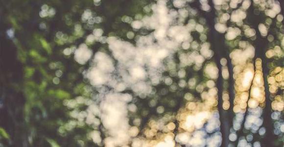 点击刷新预览图